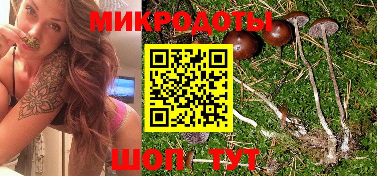 Псилоцибиновые грибы Psilocybe  Вход с VPN  Чита 
