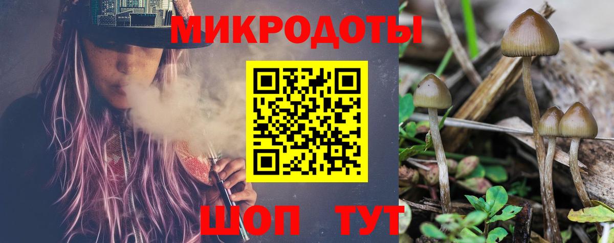 Псилоцибиновые грибы Magic Shrooms Чита
